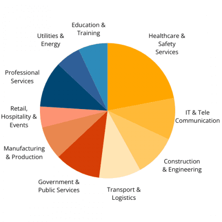 CT105 - Industries Pie Chart