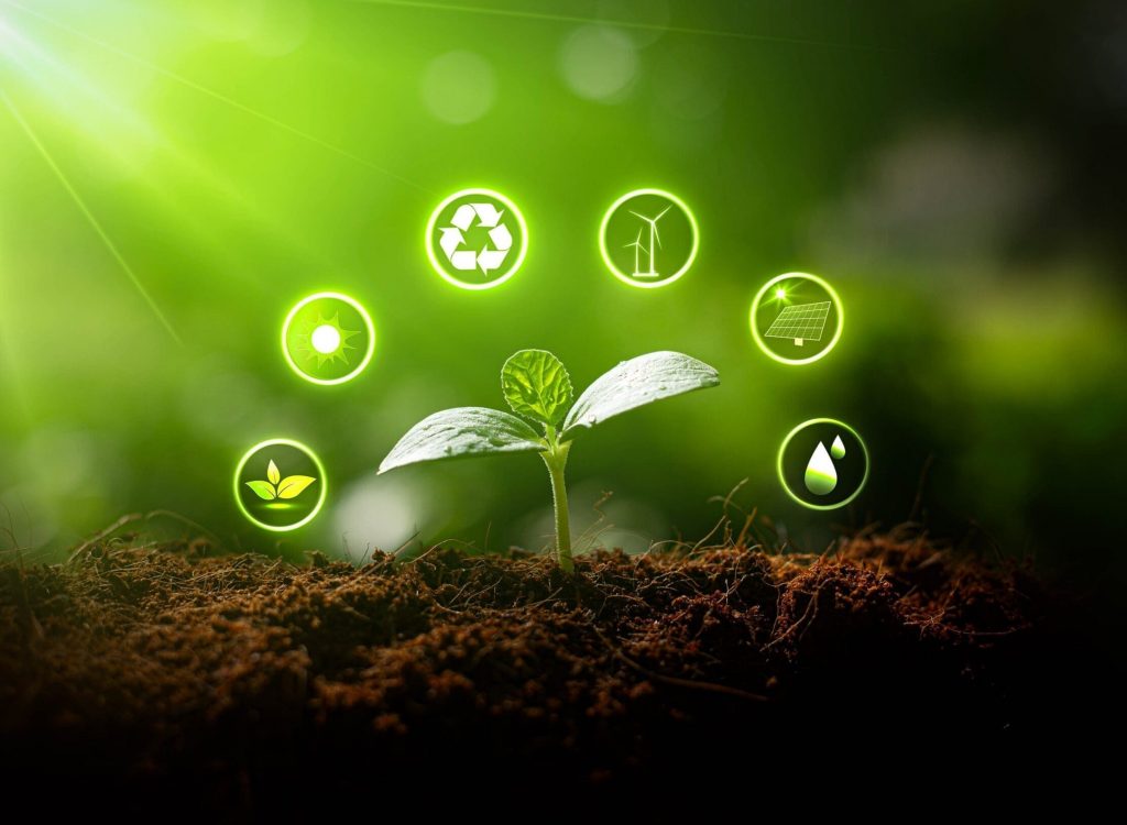 Environmental,Protection,,Renewable,,Sustainable,Energy,Sources.,Plant,Growing,In,The